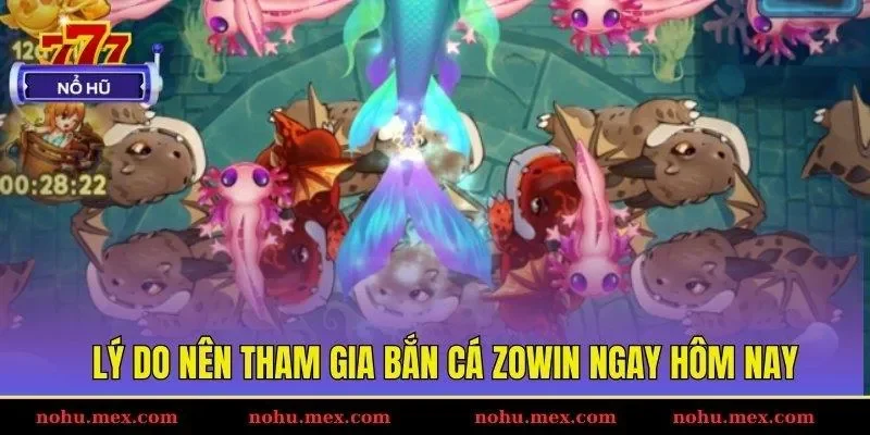 L&yacute; do n&ecirc;n tham gia bắn c&aacute; ZOWIN ngay h&ocirc;m nay